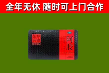 霍山县烟酒回收阿胶.jpg